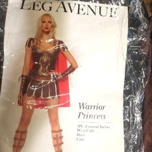 Warrior princess adult costume